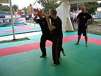 mich380 (7).JPG